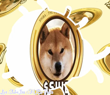 Crypto shiba inu coin