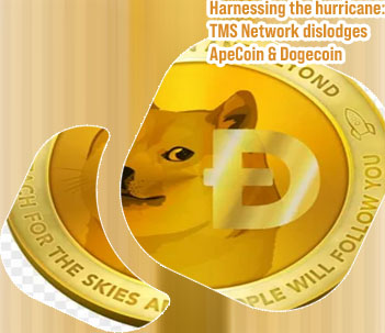 Dogecoin broker