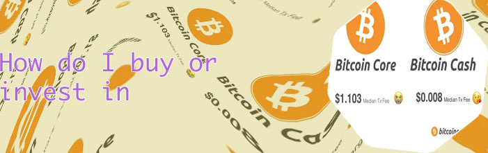 How can i buy bitcoin cash