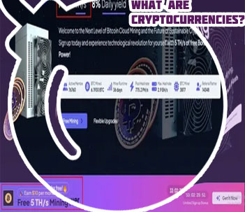 New crypto today